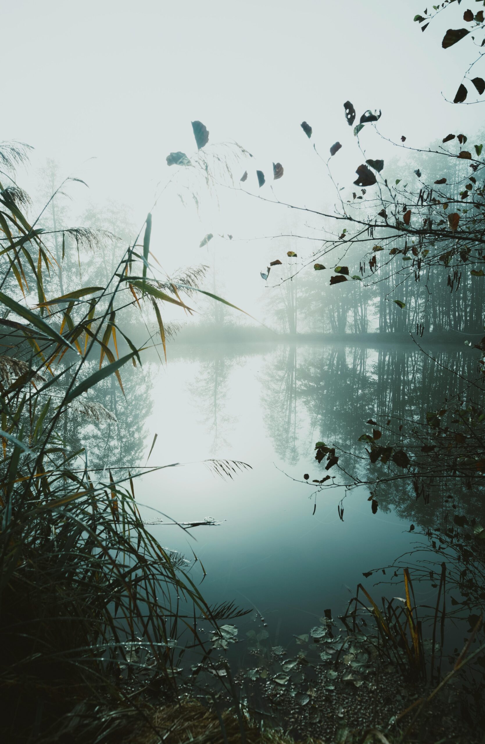Fragments of the Unconscious Mind